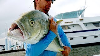 Fishing for Inshore MONSTERS by the Docks [upl. by Riley]