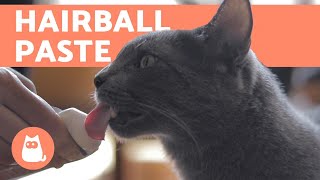 HAIRBALL PASTE for CATS  Benefits Dosage and Application [upl. by Martres]