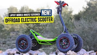 Top 8 Electric Scooters Ranked by Pricing and OffRoad Capabilities in 2020 [upl. by Fred]