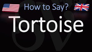 How to Pronounce Tortoise CORRECTLY [upl. by Percy]