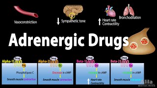 Adrenergic Drugs  Pharmacology Animation [upl. by Goeselt855]