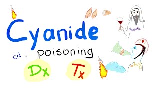 Cyanide Poisoning  Diagnosis amp Treatment [upl. by Nylehtak]