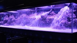 800 Aquarium pt2 Aquascape  Floating Shelf [upl. by Kcirdahs]