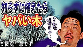 【絶対庭に植えてはいけない木】植木生産者が知らず植えると後悔する木をご紹介します [upl. by Ylicis]