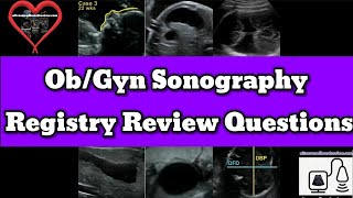 ObGyn Sonography Registry Review [upl. by Blase532]