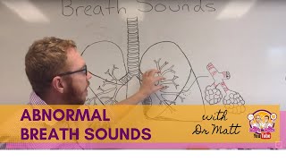 Abnormal Breath Sounds  Respiratory System [upl. by Salbu]