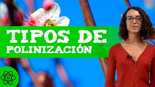 ¿Qué es la POLINIZACIÓN 🌼 En qué consiste y TIPOS [upl. by Atnahc262]