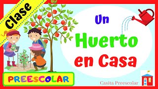 UN HUERTO EN CASA Aprendeencasa PREESCOLAR [upl. by Leith]