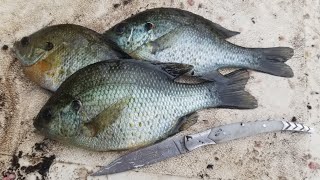 3 Day Fishing Trip amp Panfish Catch amp Cook  Exploring new rivers and lakes [upl. by Ochs863]