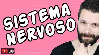 SISTEMA NERVOSO  FISIOLOGIA  Aula  Biologia com Samuel Cunha [upl. by Aurore]