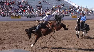 Experience a day at the Tucson Rodeo [upl. by Alethia]