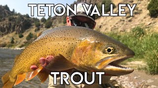 Teton Valley Trout  Ultimate Idaho Fly Fishing [upl. by Airad5]