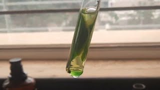 Extraction of Chlorophyll [upl. by Sheree]