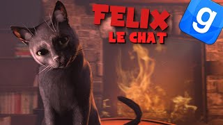 FELIX LE CHAT  GARRYS MOD DARKRP [upl. by Junina]