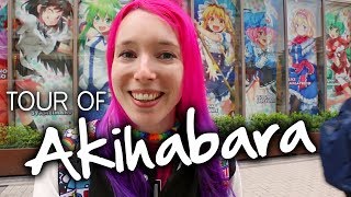 AKIHABARA TOUR Anime Shops amp Arcades [upl. by Eiliah]