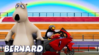 Motorcycle Race AND MORE  Bernard Bear  30 min Compilation  Cartoons for Children [upl. by Ybur218]