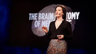 How menopause affects the brain  Lisa Mosconi [upl. by Sofie]