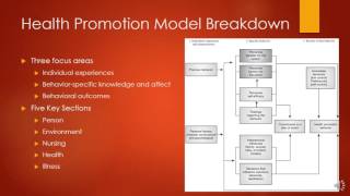 Nola Pender Health Promotion Model [upl. by Adias130]