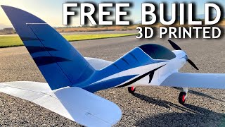 DIY RC Plane Full Build  ft FlashForge Guider 2s [upl. by Lleuqar813]