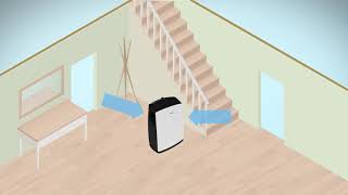 Dehumidifiers How do they work [upl. by Niamrej]