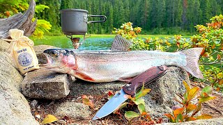 SOLO Backpacking amp REMOTE Trout Fishing Catch amp Cook [upl. by Attenweiler]