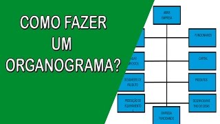 ORGANOGRAMA como fazer organograma [upl. by Haney]