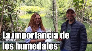 La importancia de los humedales [upl. by Ecirtaeb]