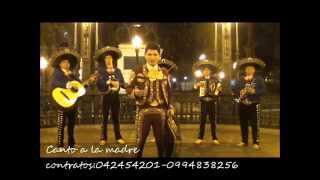 CANTO A LA MADRE MARIACHI  VASCO ANTARES [upl. by Ahsemo]