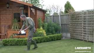 How to Over Seed a Lawn after Raking or Scarifying [upl. by Adikram]