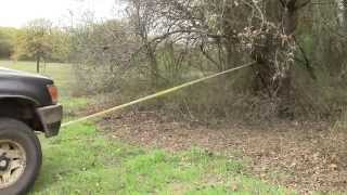 How to clear Brush and Undergrowth [upl. by Quackenbush]