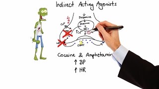 Pharmacology  ADRENERGIC RECEPTORS amp AGONISTS MADE EASY [upl. by Buchheim]