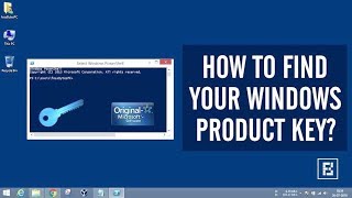 Windows 10 Key Finder [upl. by Segal916]