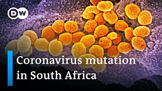 Mutated coronavirus strain drives infections in South Africa  COVID Update [upl. by Eahsal]