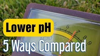 Lower Soil pH In The Lawn 5 Ways To Get It More Acidic [upl. by Ellenwad355]