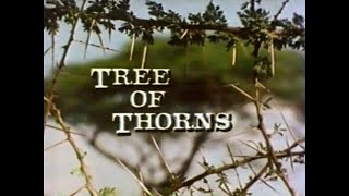 Acacia Tree of Thorns 1983 [upl. by Diver845]