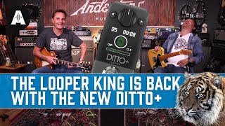 New TC Electronic Ditto  The Iconic Mini Looper Pedal Now With NextLevel Upgrades [upl. by Sikata]