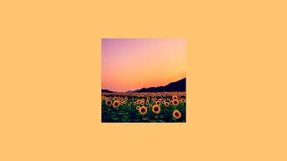 Rex Orange County  Sunflower  slowed [upl. by Weiler]