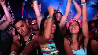 TomorrowWorld 2014  Borgore [upl. by Eadwina]