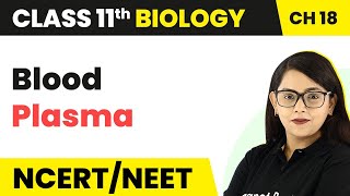 Blood Plasma  Body Fluids And Circulation  Class 11 BiologyNEETAIIMS [upl. by Oremor]