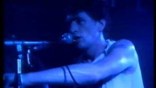 Herman Brood amp His Wild Romance  SaturdaynightLadykiller [upl. by Leehar]