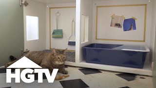 How to Hide a Cat Litter Box  HGTV [upl. by Hennebery]