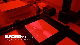 Making Your First Black amp White Darkroom Print [upl. by Fine]