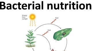 Autotroph heterotroph chemolithotroph etc [upl. by Ecnerol]