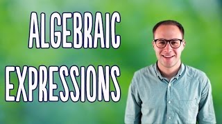 Algebraic Expressions Basics [upl. by Mandy99]