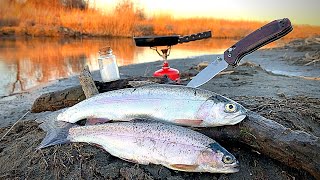 RAINBOW TROUT Fishing CLEAR REMOTE Creek Catch amp Cook [upl. by Nov]