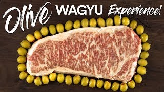 World’s RAREST STEAK Olive Wagyu vs Japanese A5 WAGYU Beef [upl. by Dnalel]