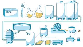 How yeast is made  Lesaffre [upl. by Peter]