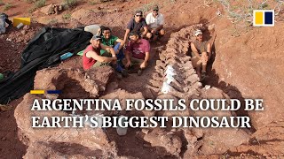 Dinosaur fossils found in Argentina could be from largest creature to have ever walked the Earth [upl. by Meehyrb]