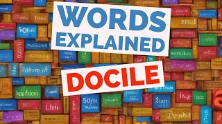 Docile  Words Explained [upl. by Einahets]