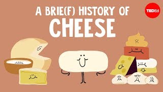 A brief history of cheese  Paul Kindstedt [upl. by Panchito]